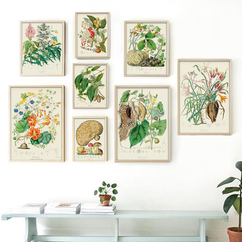 Coleção Botânica: Pôsteres e I - Vintage Collectible Posters avaliação e preço